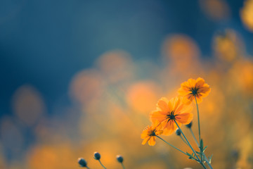 水泥在零下多少度会被冻坏