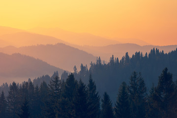 原神10大不值得培养角色