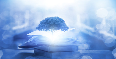 思念、想念、怀念、惦念如何区别？