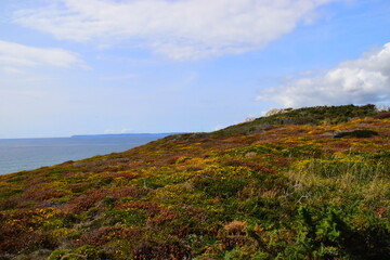水泥在零下多少度会被冻坏