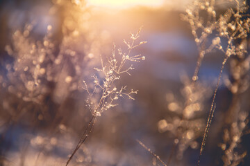 渭南市高中排名前十的学校