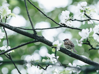 原神10大不值得培养角色