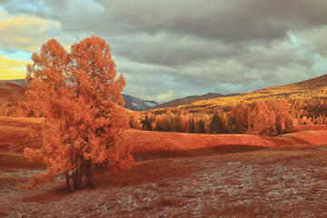 水泥在零下多少度会被冻坏