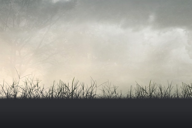 模特T台步骤及T台训练技巧