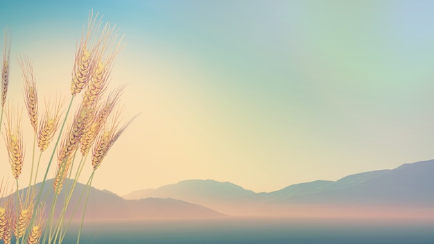 水泥在零下多少度会被冻坏