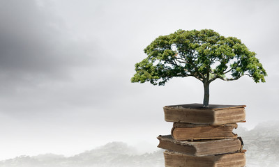 渭南市高中排名前十的学校