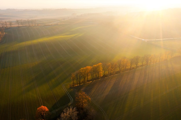 水泥在零下多少度会被冻坏